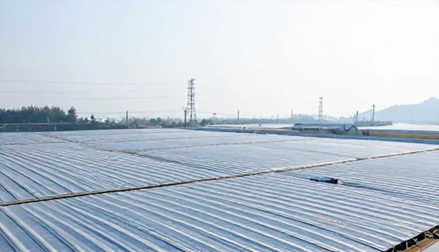 系统实施在信息技术咨询中的适用条件与选择依据